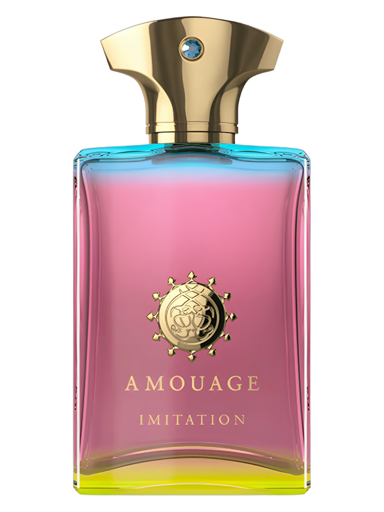 AMOUAGE Imitation Men Eau de Parfum 100 ML