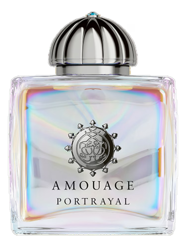 AMOUAGE Portrayal Women Eau de Parfum 100 ML