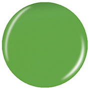 Gaga For Green