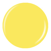 Happy Go Lucky