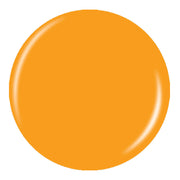 Sun Worhipper