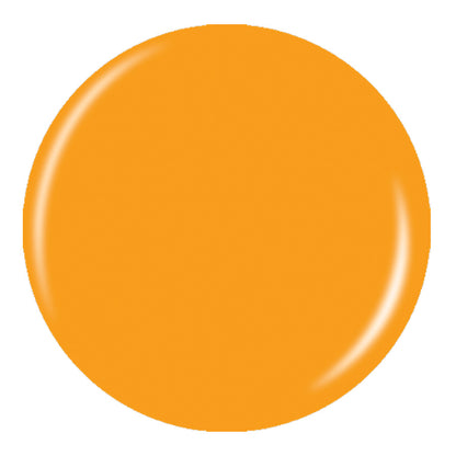 Build Your Own China Glaze Bundle (12 Colors)