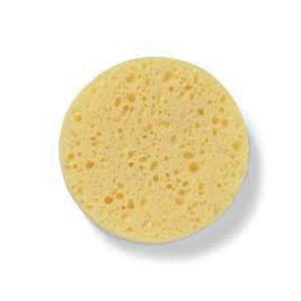 Facial Sponge