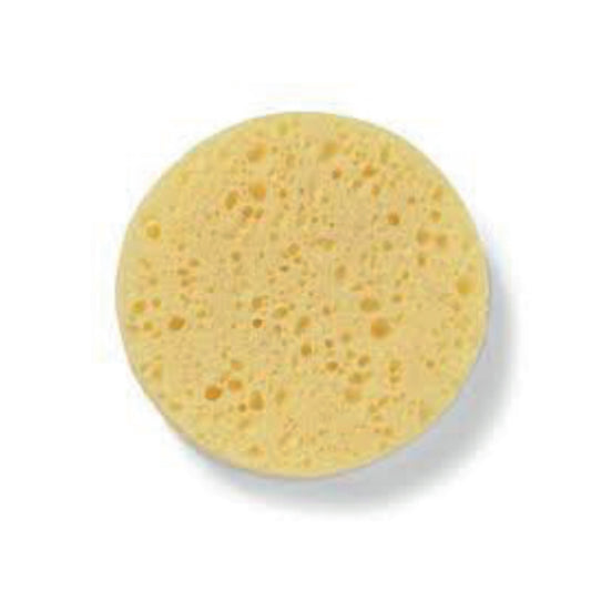 Facial Sponge