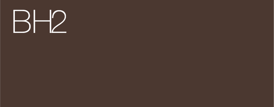 MEICHA PIGMENT LIQUID 12CC BROW HIGH2