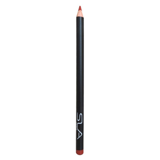 SERGE LOUIS ALVAREZ LIP PEN N20 FROZEN BRN