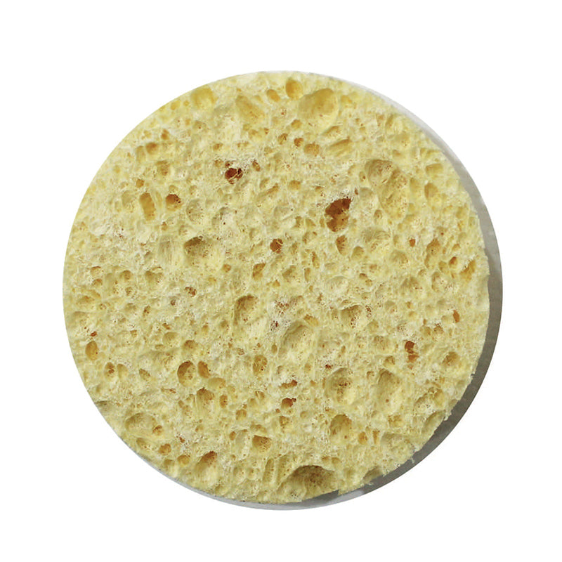 Y.S.Creation SMALL CELLULOSE SPONGE
